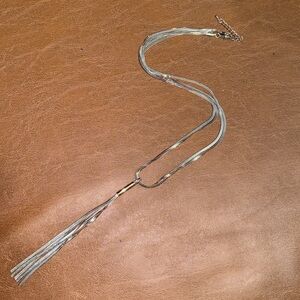 Silver Tassel Long Necklace